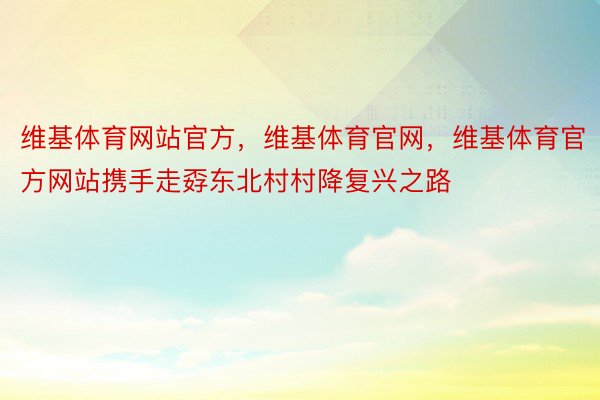 维基体育网站官方，维基体育官网，维基体育官方网站携手走孬东北村村降复兴之路